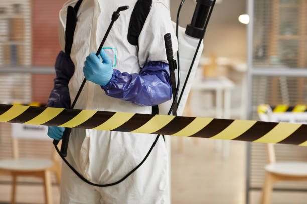 Professional Hoarding Cleanup technician working in Franklin Park, FL