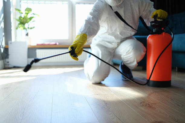 Reliable Hoarding Cleanup contractor in Franklin Park, FL by Dulley Family Biohazard Services